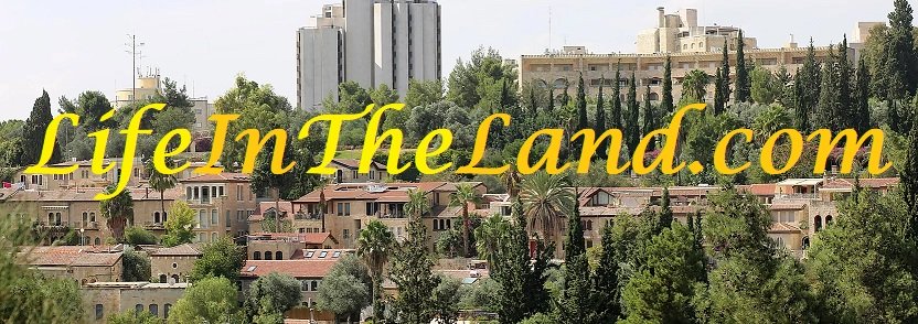 LifeInTheLand.jpg