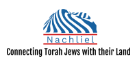 Nachliel logo 2.png